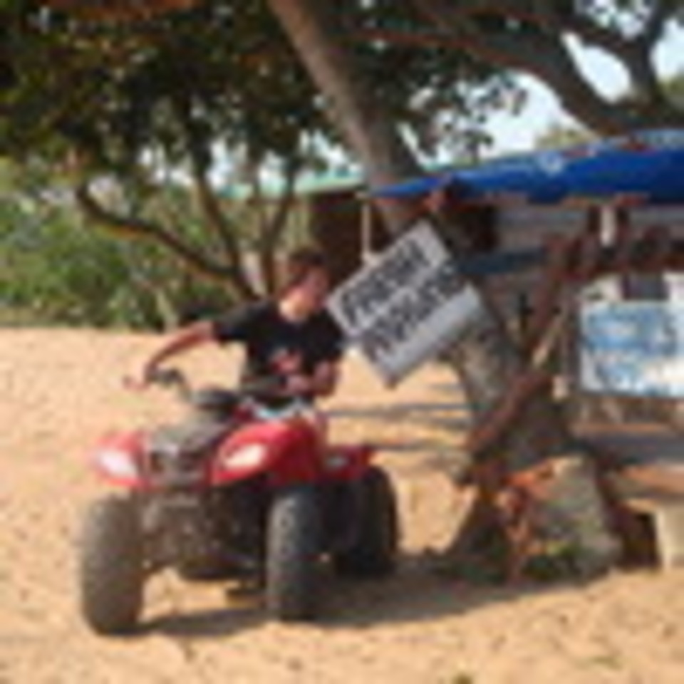 user picture