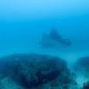 Picture taken during the dive