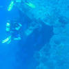 Picture taken during the dive