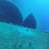 Picture taken during the dive