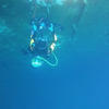 Picture taken during the dive