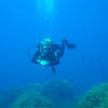 Picture taken during the dive