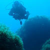 Picture taken during the dive