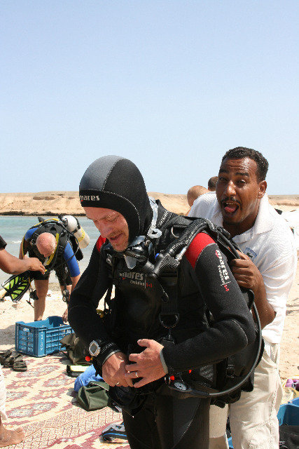 Avalon Dive Center - Dive Center in United States