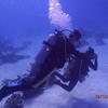 Picture taken during the dive