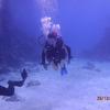 Picture taken during the dive