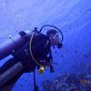 Picture taken during the dive
