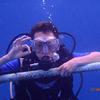 Picture taken during the dive