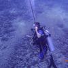 Picture taken during the dive
