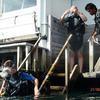 Picture taken during the dive
