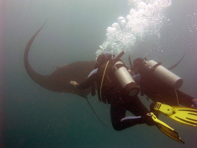 Diving in Puerto Vallarta, Mexico - By Fernando