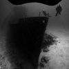 Picture taken during the dive
