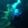 Picture taken during the dive