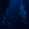 Picture taken during the dive