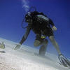 Picture taken during the dive