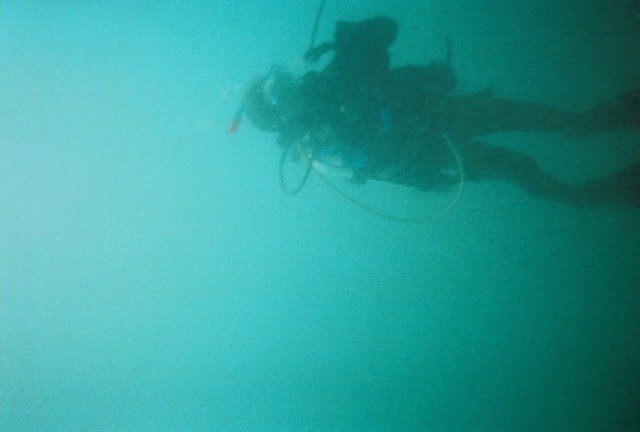 Ventura Dive & Sport - Dive Center in United States