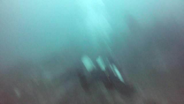 Dive Charters Gibraltar - Dive Center in South Africa