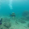 Picture taken during the dive