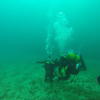 Picture taken during the dive