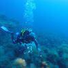 Picture taken during the dive