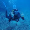 Picture taken during the dive