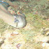 Picture taken during the dive