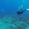 Picture taken during the dive