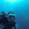 Picture taken during the dive