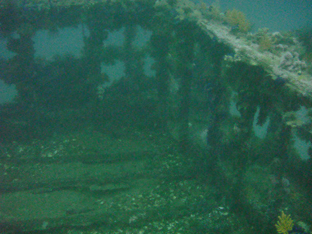 Dive Action - Dive Center in South Africa