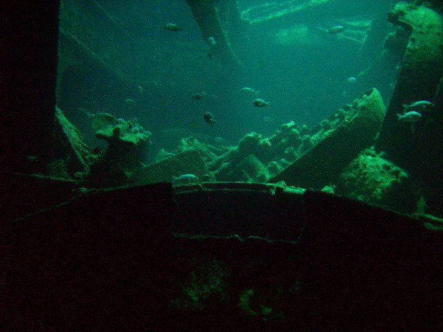 Diving World Red Sea - Dive Center