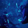 Picture taken during the dive