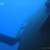Picture taken during the dive