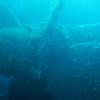 Picture taken during the dive