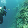 Picture taken during the dive