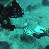 Picture taken during the dive