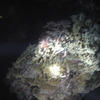 Picture taken during the dive