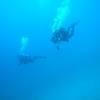 Picture taken during the dive