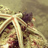 Picture taken during the dive