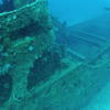Picture taken during the dive