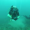 Picture taken during the dive