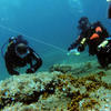 Picture taken during the dive