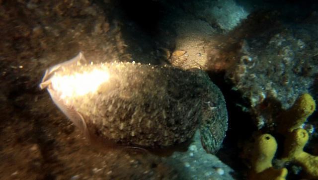 Aquaholics Dive Center - Dive Center in Greece