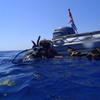 Picture taken during the dive