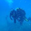 Picture taken during the dive