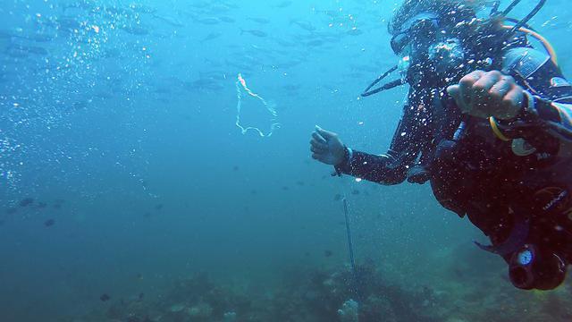 Submariner Diving Center - Dive Center in Philippines