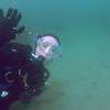 Picture taken during the dive