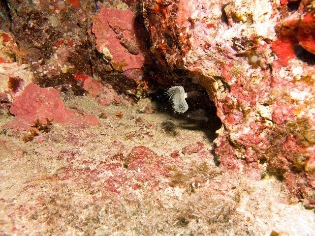 H2O Divers - Dive Center in Malta