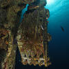 Picture taken during the dive