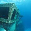 Picture taken during the dive