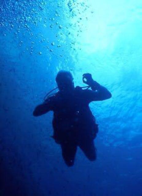 Cool Divers - Dive Center in Spain